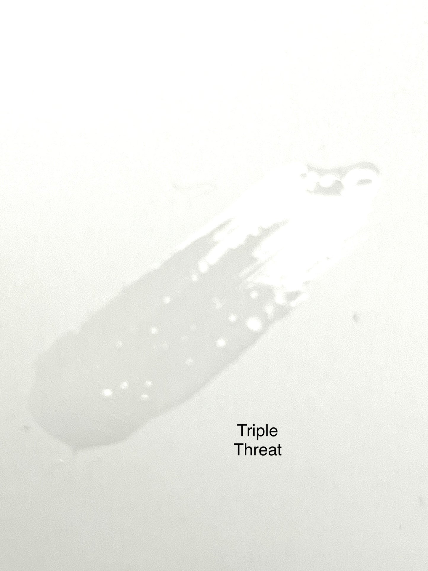 Triple Threat is our #1 clear gloss! Excellent moisturizer!